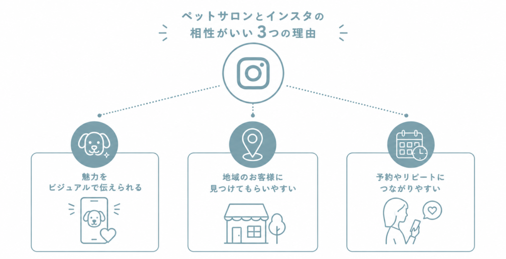 ペットサロンとInstagramの相性が良い3つの理由