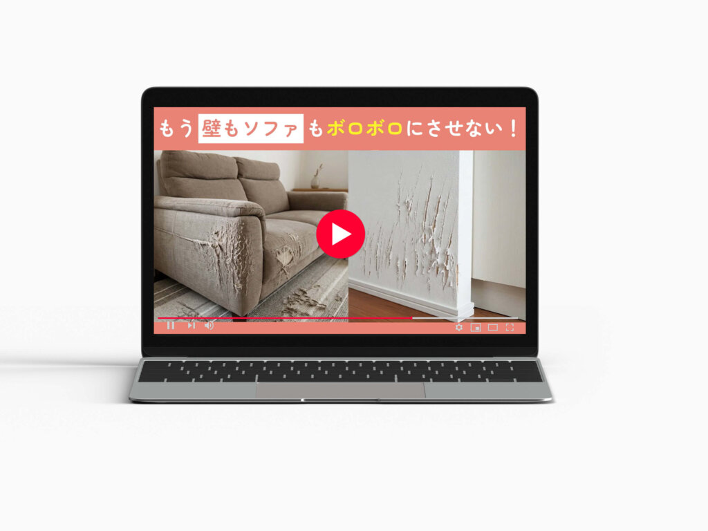 Animal Affection株式会社爪研ぎシート動画