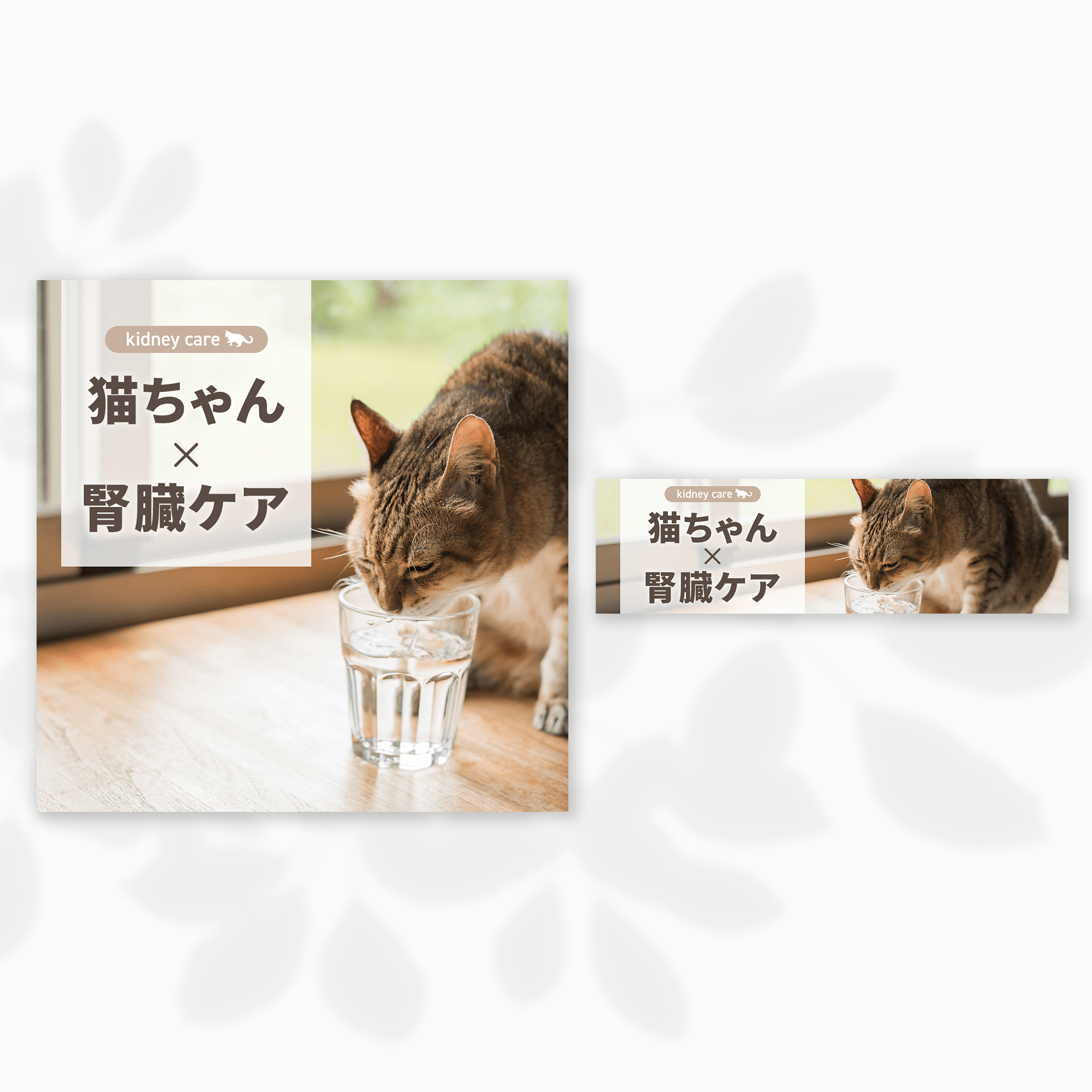117pet様サムネイル猫ちゃん×腎臓ケア