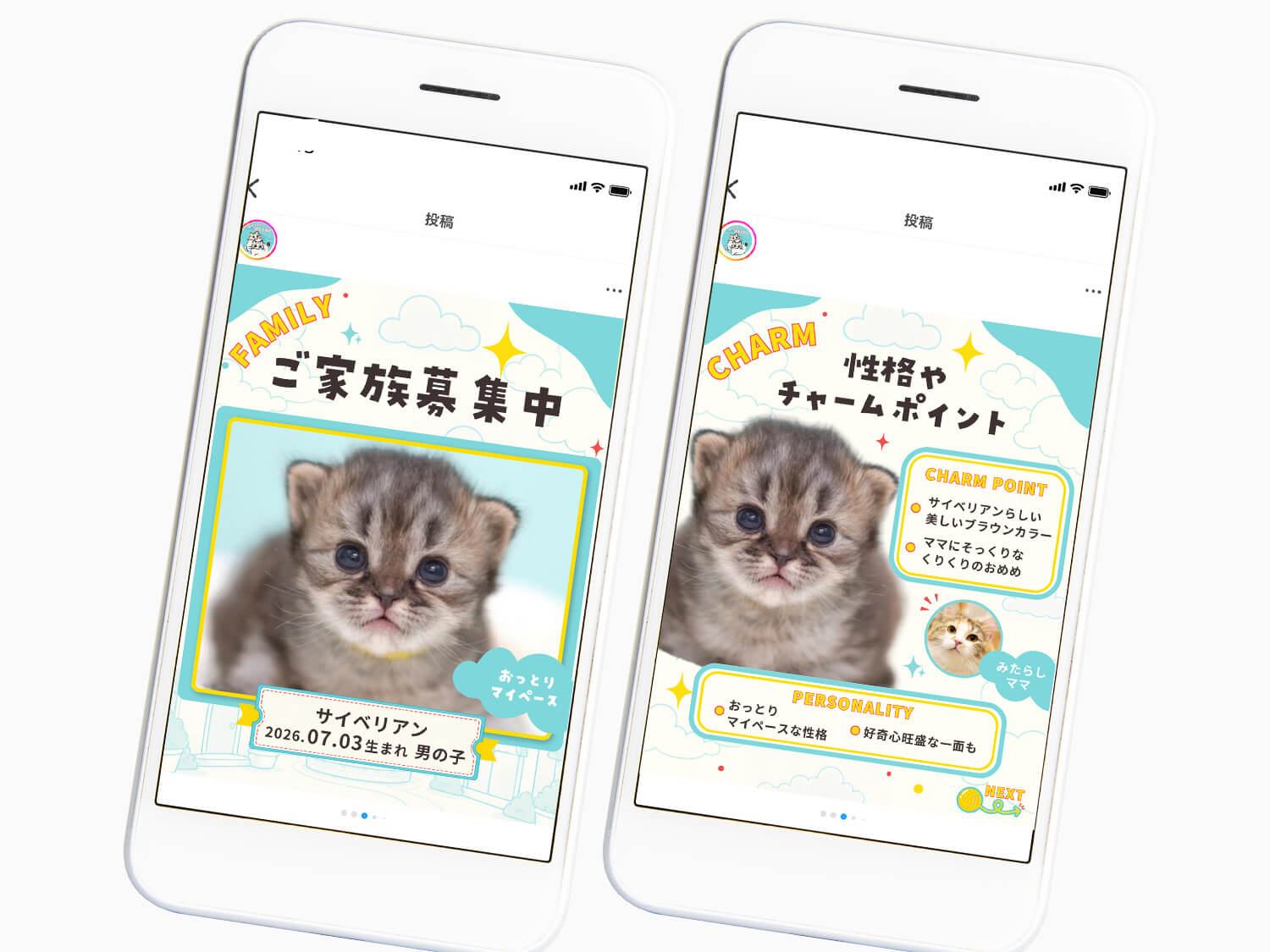 株式会社ぱるとねる様Instagram投稿作成